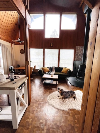 Fireplace, stereo. Charming, dog-friendly cabin in peaceful Birch Bay, Wa