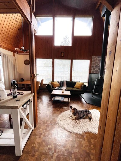 Charming, dog-friendly cabin in peaceful Birch Bay, Wa