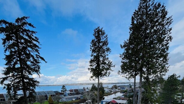 A deck with a view of a residential area, including houses and trees. - Charming Pet-Friendly Cabin with Sunset Views Over Birch Bay (Blaine)