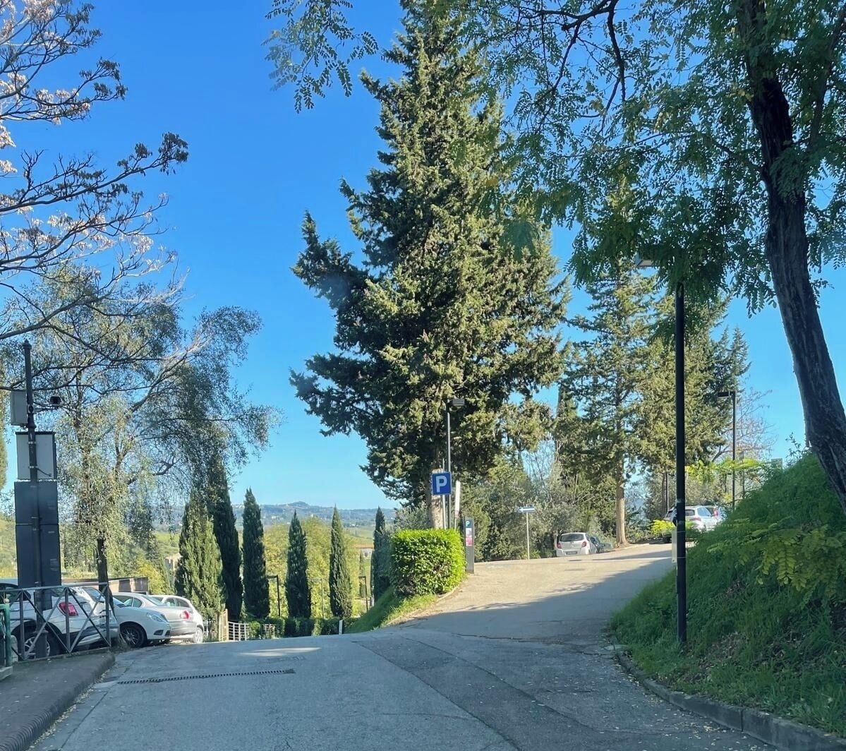 Uma área de estacionamento com um sinal azul de 'P', rodeada por árvores e um céu claro.