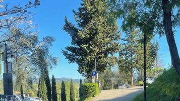 Uma área de estacionamento com um sinal azul de 'P', rodeada por árvores e um céu claro.