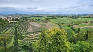 A panoramic view of a rural landscape with rolling hills, vineyards, and a distant town.