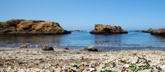 Updated 5BR ocean view villa in Mendocino - Fort Bragg with firepit & hot tub