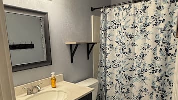 Secadora de cabello, bidet, toallas, papel de baño