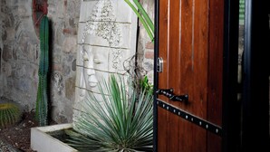 A wooden door with metal hinges, a stone wall, and a cactus plant. - Chi House (Ayvalik)