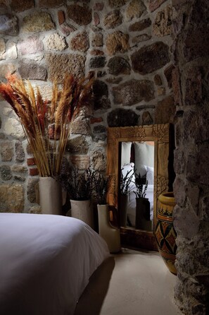 Chambre classique | Minibar, coffre-fort, rideaux d’obscurcissement