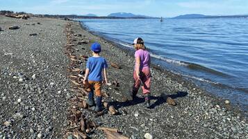 On the beach, sun loungers, beach towels