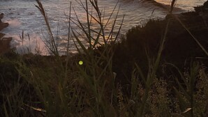 Ein Sonnenuntergang über dem Meer mit Wellen und Gräsern im Vordergrund.
