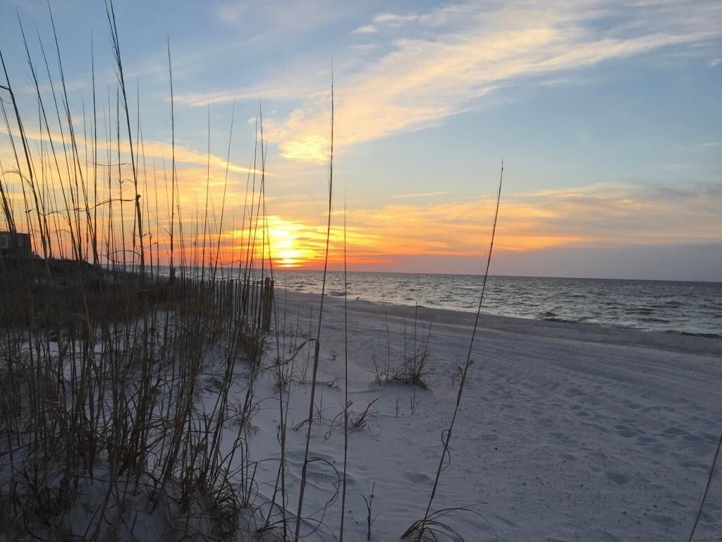 Appart'hôtel, 2 grands lits (Wind Drift 501E) | Plage