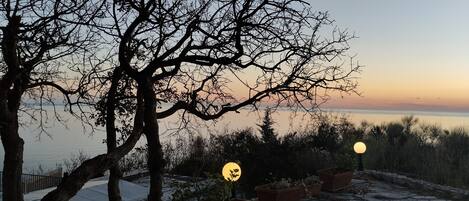 Área da propriedade