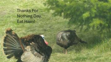 Imagen general