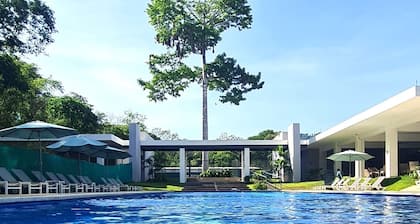 Beachfront condo - 16th floor whith stunning forest view.  Steps to the beach.