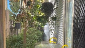 A small outdoor patio with a round metal table and yellow chairs, surrounded by various potted plants and a hanging planter. - Adorable 1br apt walking distance to Mullumbimby (Mullumbimby)