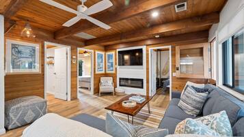 Smart TV, fireplace, books