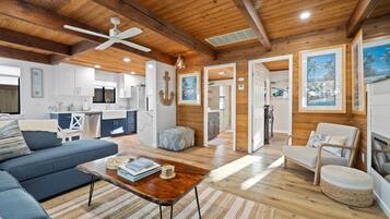 Smart TV, fireplace, books