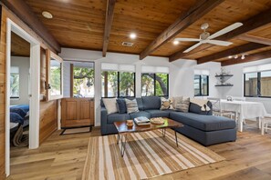 Smart TV, fireplace, books