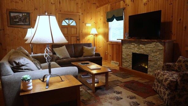 A cozy living room with a stone fireplace, wooden walls, a sofa, a coffee table, and a television. - Deer Meadow-Devil`s Bathtub/Natural Tunnel (Duffield)