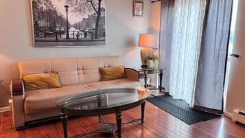 Smart TV, fireplace, DVD player, books