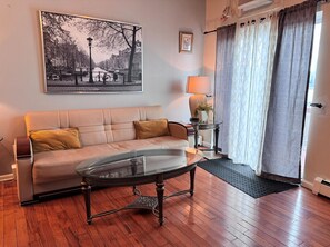 Smart TV, fireplace, DVD player, books