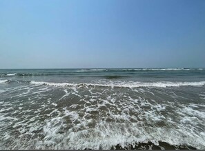 Exterior - The Bodhi Tree Resort (Morjim)