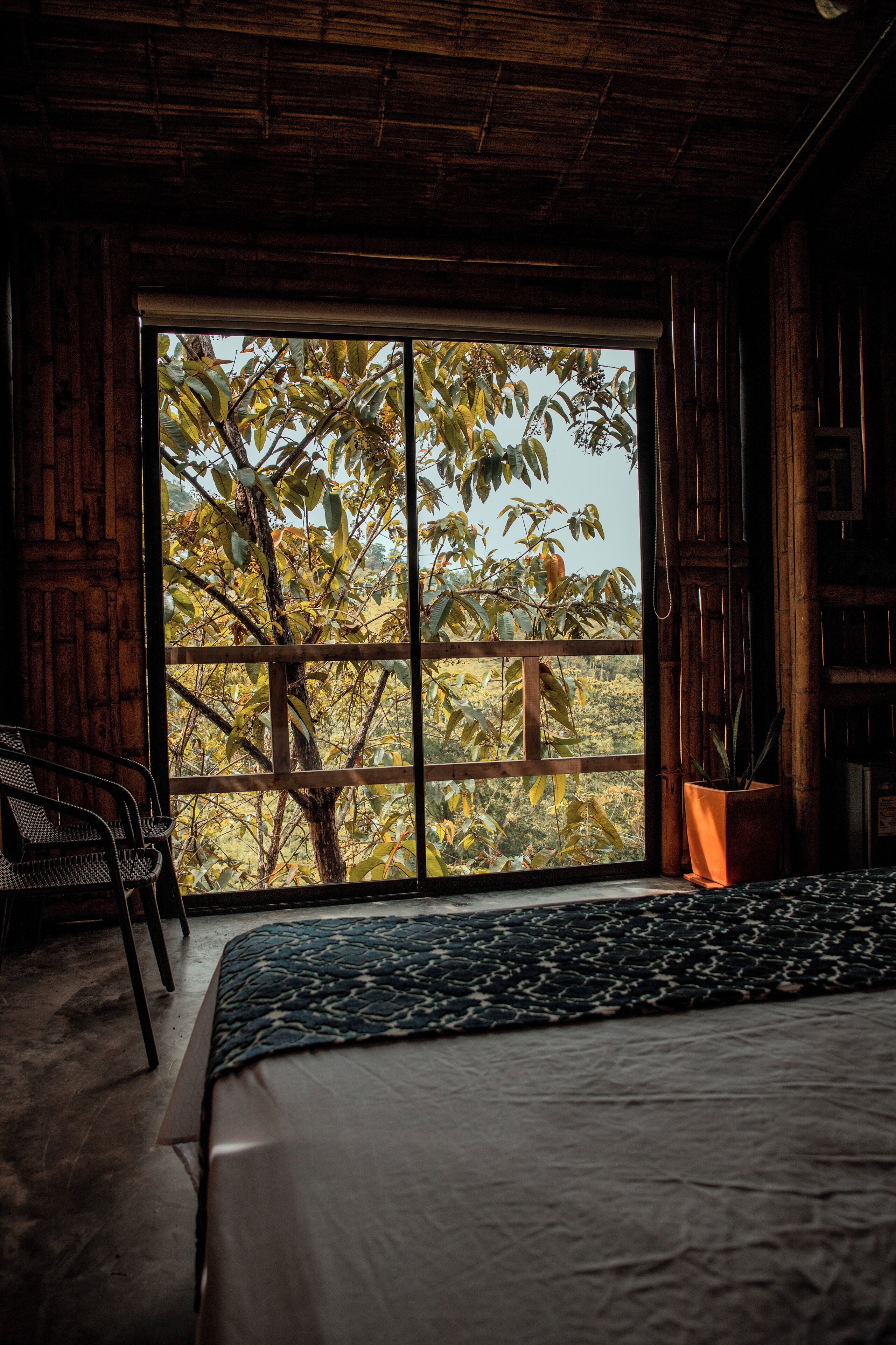 Vista desde la habitación