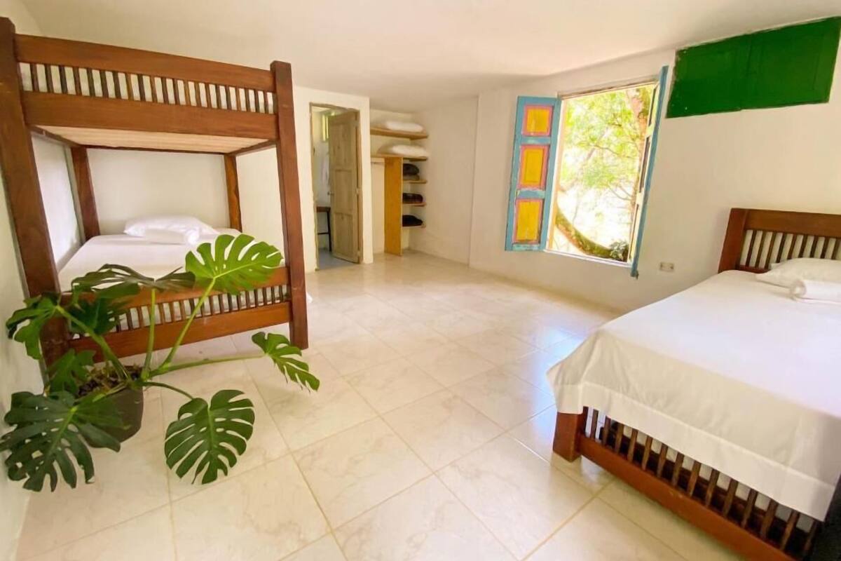 A room with a bunk bed, a single bed, and a potted plant.