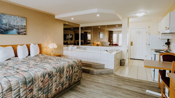 Una habitación de hotel con cama, escritorio, kitchenette y baño.