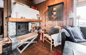 Fernseher, Kamin