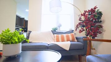 Smart TV, computer monitors