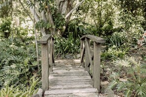 Property grounds - 15 mins to Noosa! 3-bedroom Cottage in Noosa Hinterland + Outdoor Entertaining (Doonan)