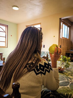 Apartemen Keluarga, pemandangan kebun | Ruang makan