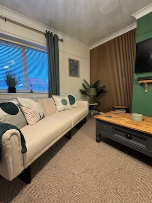 Älytelevisio, kirjoja