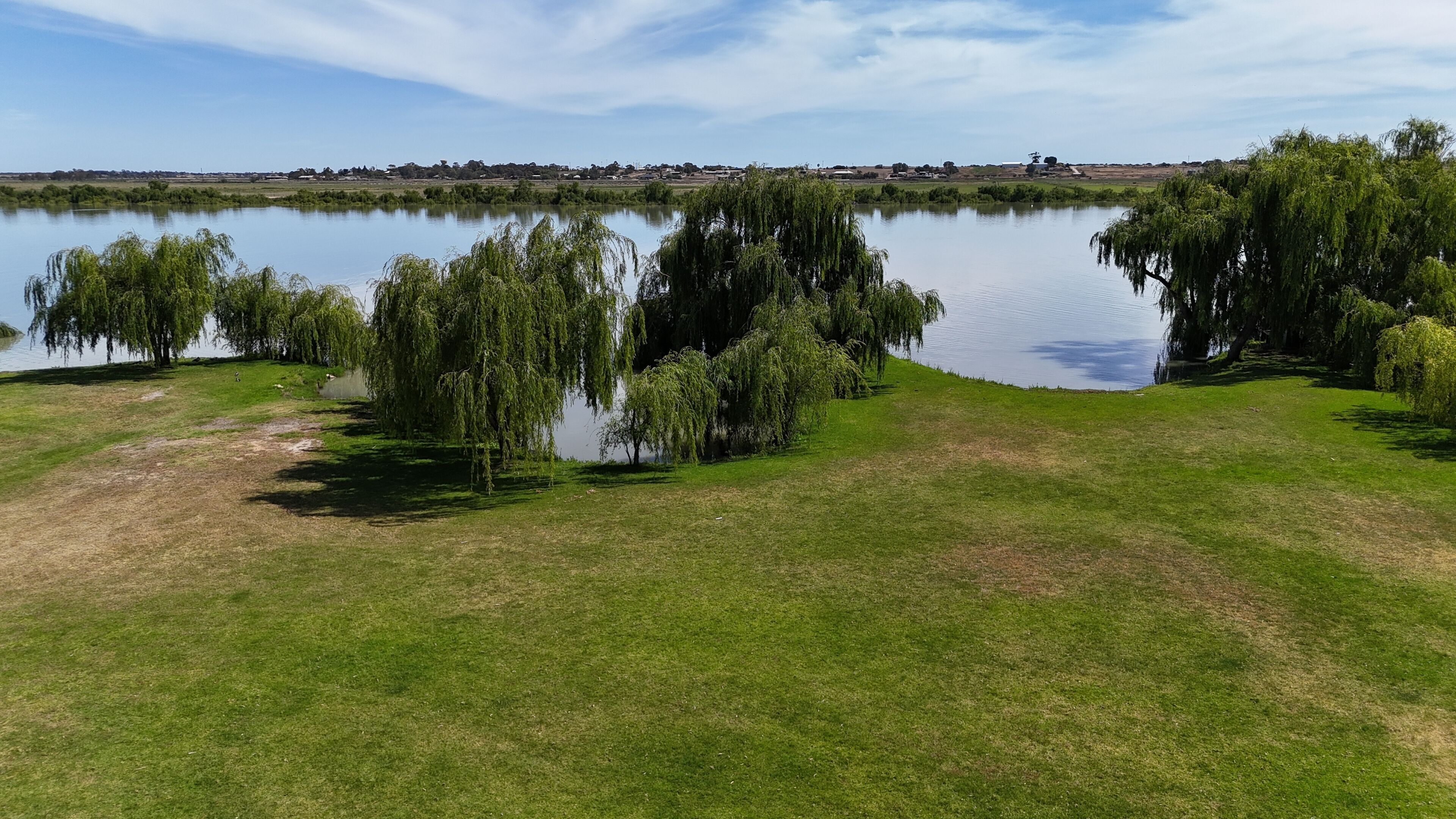 A serene lakeside view with lush greenery and willow trees.