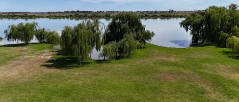 A serene lakeside view with lush greenery and willow trees.