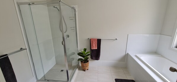 Une salle de bain moderne avec une douche à parois de verre, une baignoire blanche et une plante en pot.