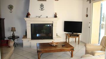 Télévision, cheminée, lecteur de DVD, chaßne hi-fi