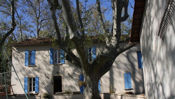 A two-story house with blue shutters, a large tree in front, and a clear sky. - Holiday Home 'Le Mas Des Fleurs' with Private Pool, Private Terrace and Wi-Fi (Avignon)
