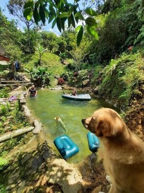 Jardines del alojamiento