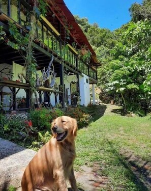 Terrein van de accommodatie
