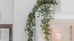 A white kitchen with a microwave, a white cabinet, and a hanging green plant.