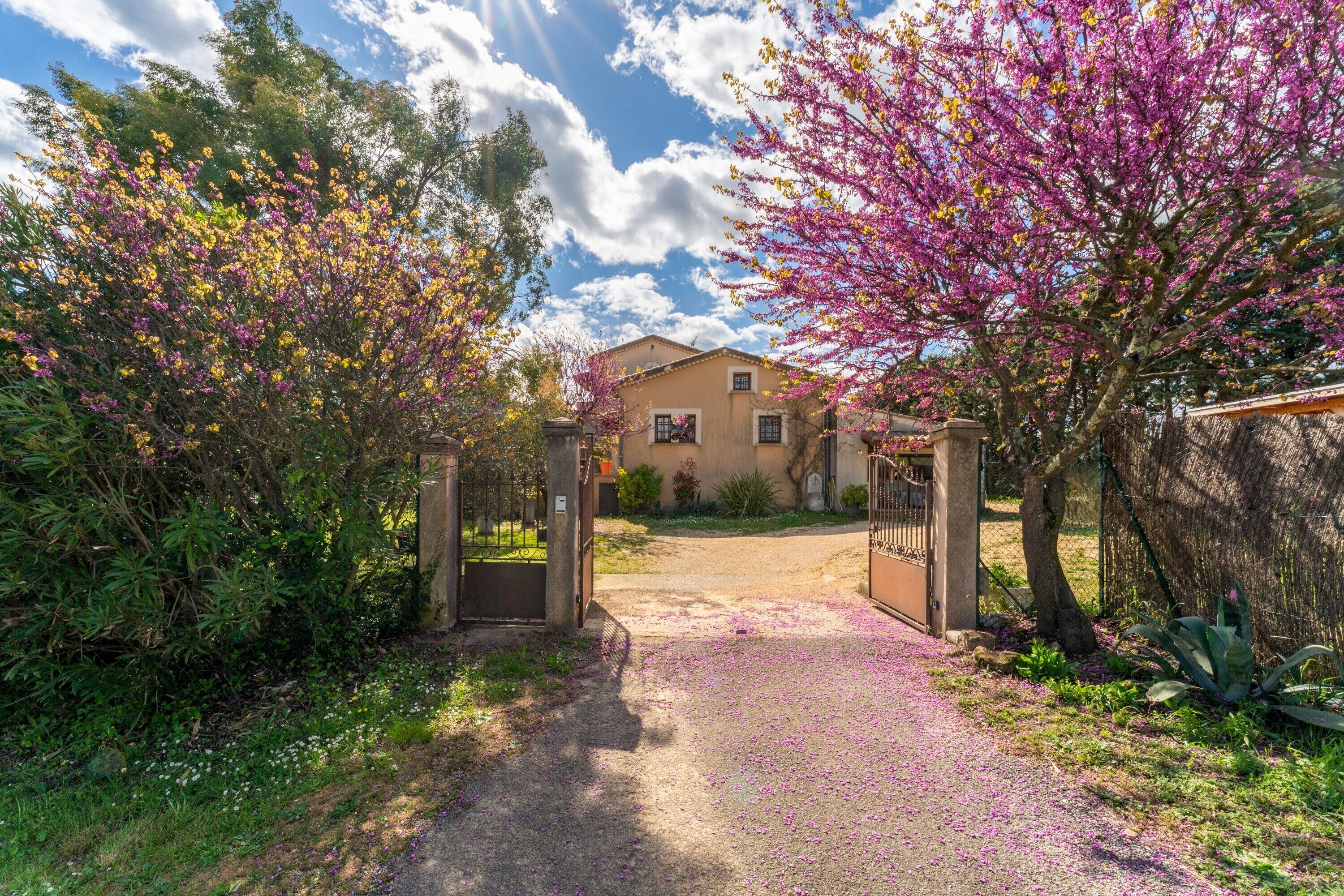 Parco della struttura