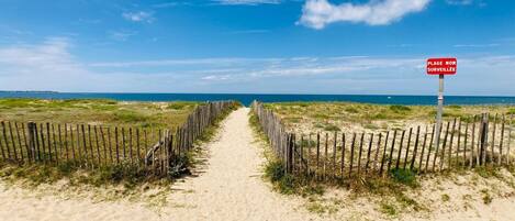 Playa en los alrededores