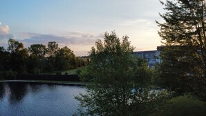 A residential area with a pond, trees, and houses in the background.