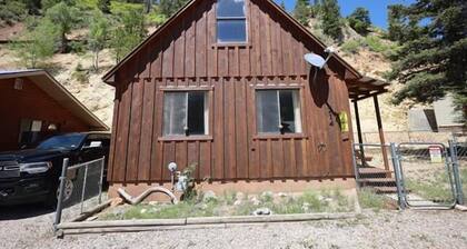 Cozy cabin "Shady Lady" In Town-Mountain Views-2 Bedroom-Pet Friendly
