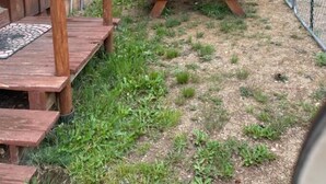 Ein hölzernes Gebäude mit Picknicktisch und einem umzäunten Bereich.