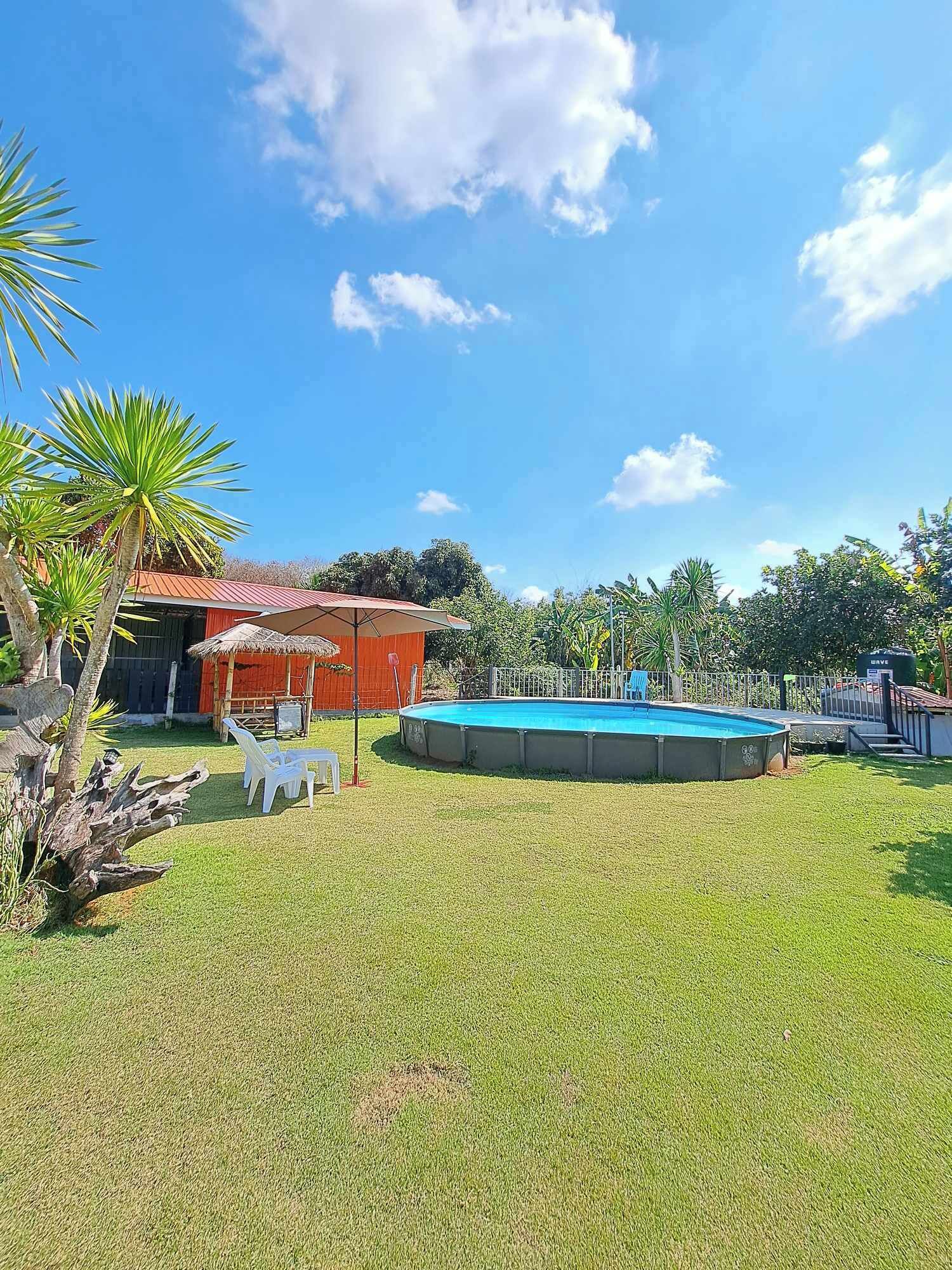 A backyard with a swimming pool, a red building, and a thatched-roof structure.