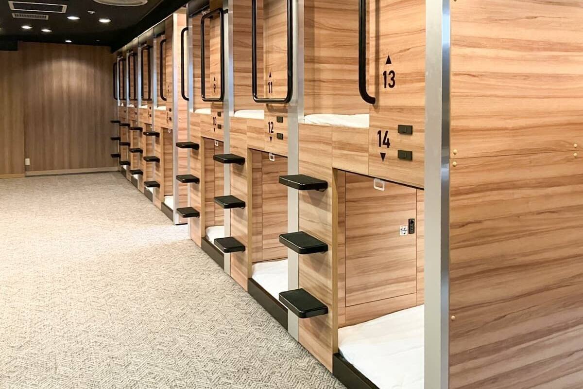 Unos literas de madera en fila, con números que identifican cada cama, un suelo alfombrado y una pared de madera al fondo.