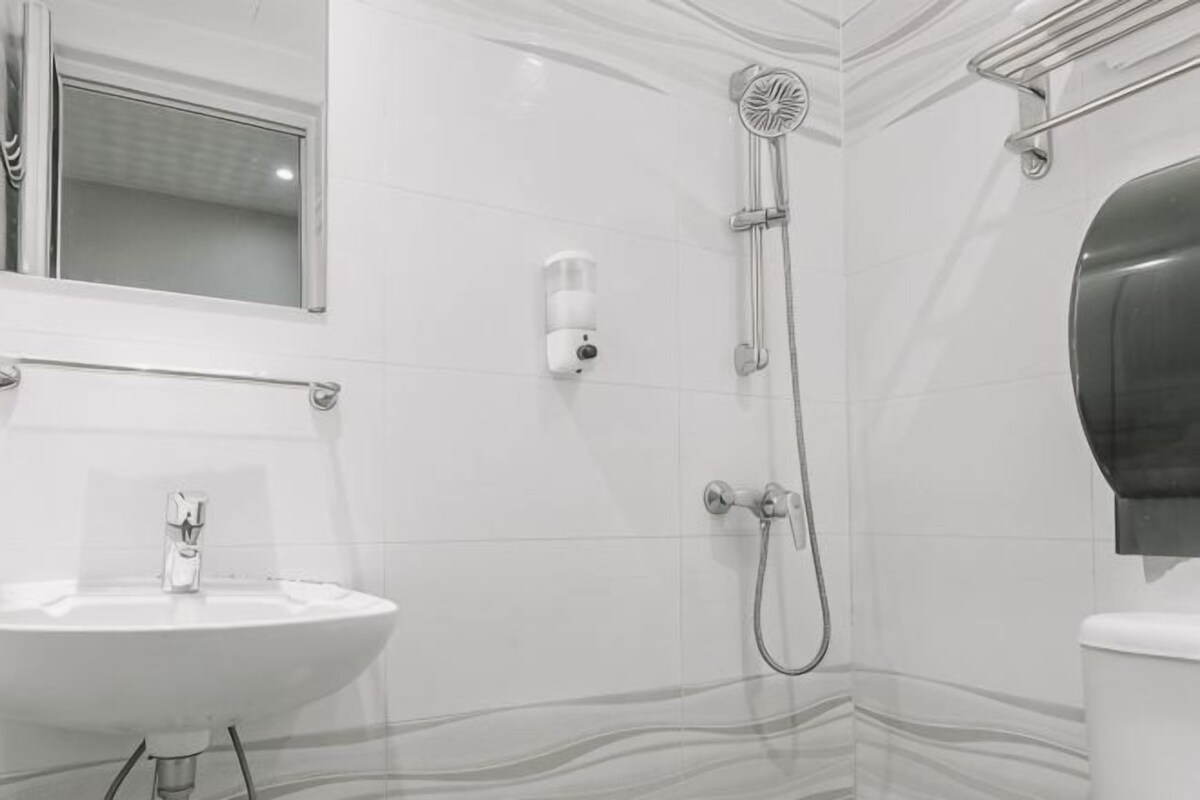 A bathroom with a sink, mirror, handheld showerhead, and a toilet.