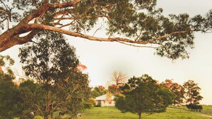 A rural landscape with a large tree, a small pond, and a house in the background. - Country House Retreat (Nungurner)
