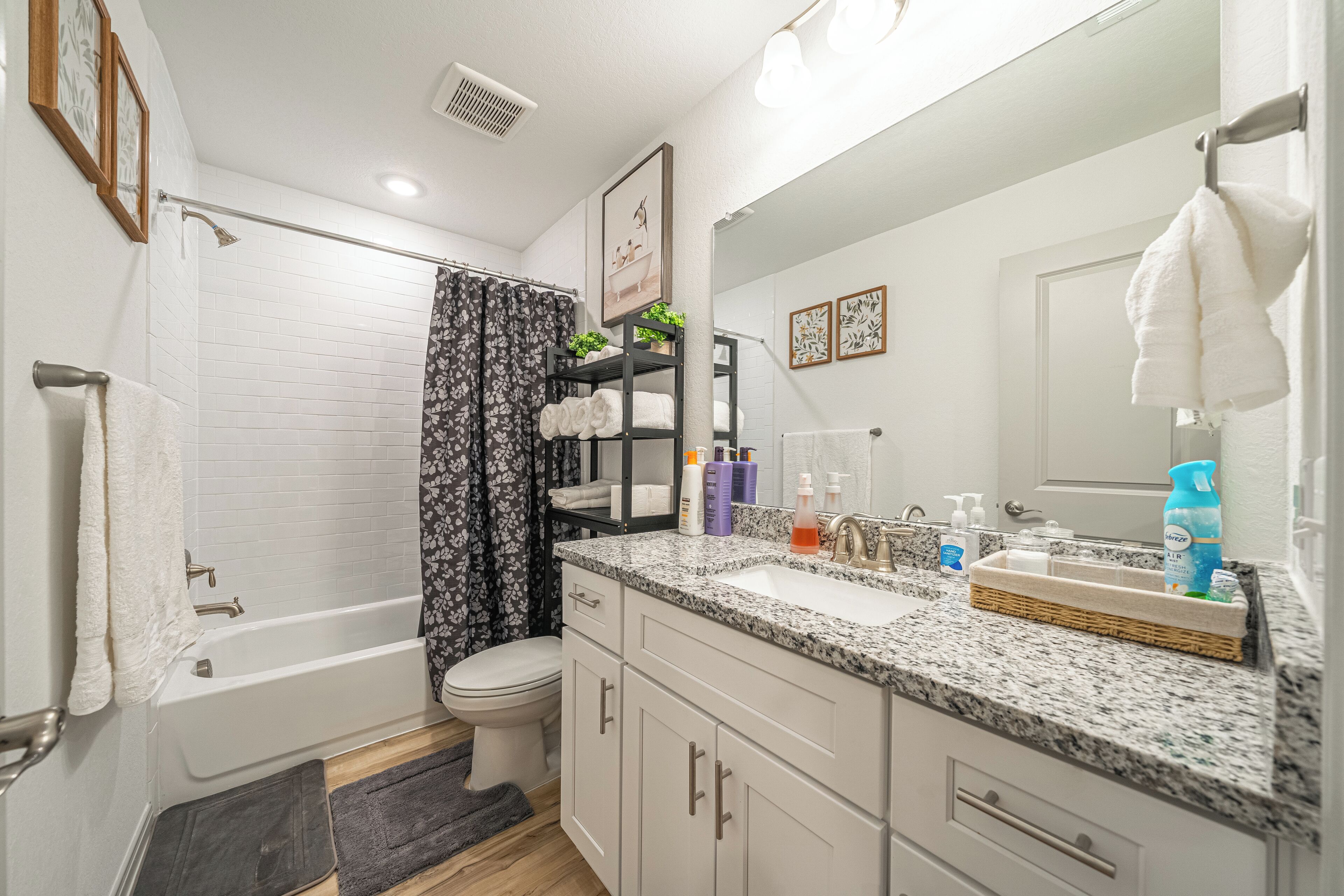 Hair dryer, bidet, towels, soap